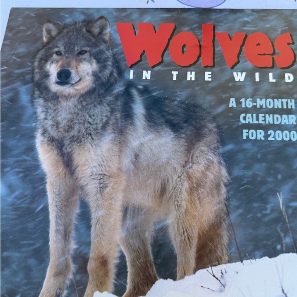 2000 & 2001 Wolves Themed Calendars & National Geographic Magazine - Picture 6 of 14